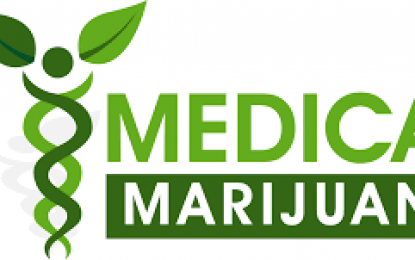 Meeting Materials: Murtha Cullina presents: Medical Marijuana in the Connecticut Workplace