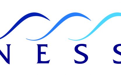 Director of Human Resources